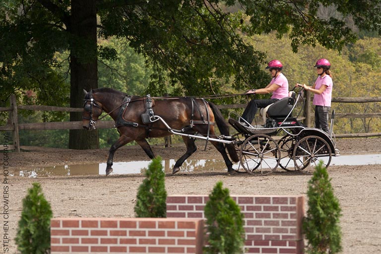ky.com-方城一高多重措施保证网上教学质量(图1)