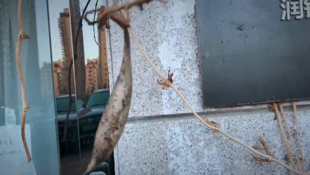 kycom：2014年全能五星竞赛最新信息 2014上海小升初(图1)