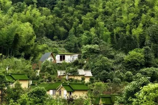 kycom：2014年全能五星竞赛最新信息 2014上海小升初(图2)