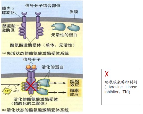 西峡县丹水镇英湾小学多措并举预防冬季流感:ky.com(图3) 西峡县丹水镇英湾小学多措并举预防冬季流感:ky.com(图3)