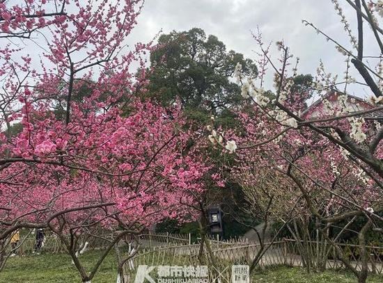 【ky.com】2014重庆一外英语A班B班教学介绍 2014重庆小升初(图4)