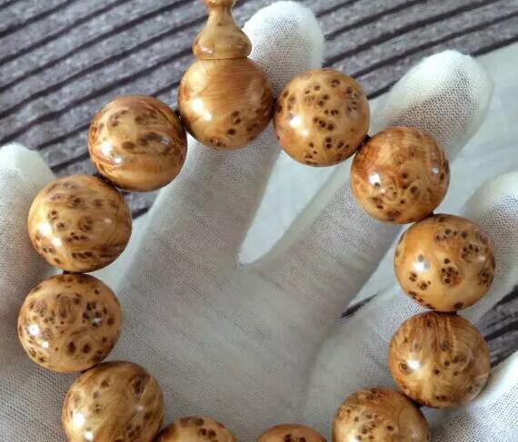 2014年成都市沙河源小学对口中学-kycom(图1)