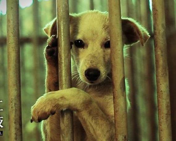 让雷锋精神在疫情中闪光——郑州经开区瑞锦小学开展雷锋月主题教育活动|kycom(图3)