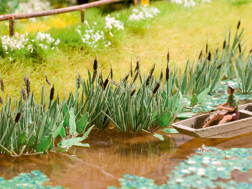 ky.com-镇平县雪枫中学举办2019年秋期古诗文诵读大赛(图3)