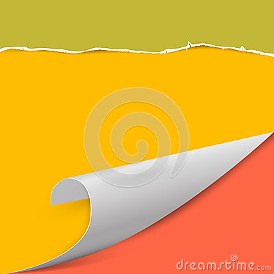 2018扬州幼升小小升初政策-扬州小升初-ky.com(图3) 2018扬州幼升小小升初政策-扬州小升初-ky.com(图3)